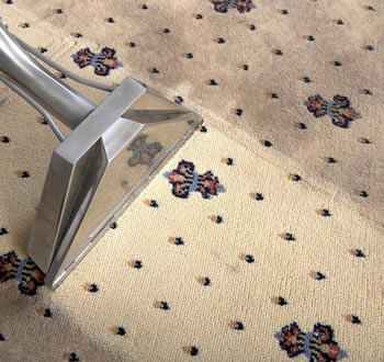 professional carpet cleaning ware Edinburgh